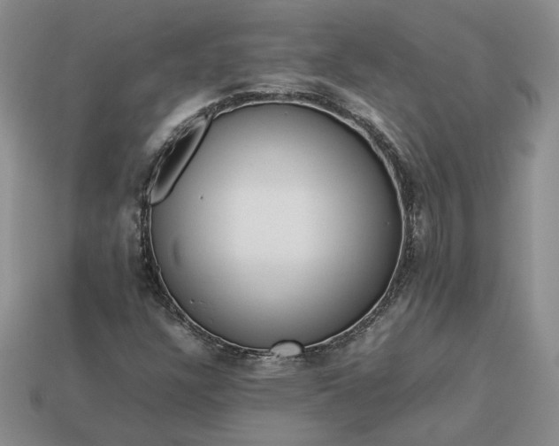 X0000113371304200909291042