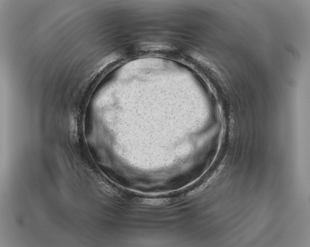 X0000113371305200909291042