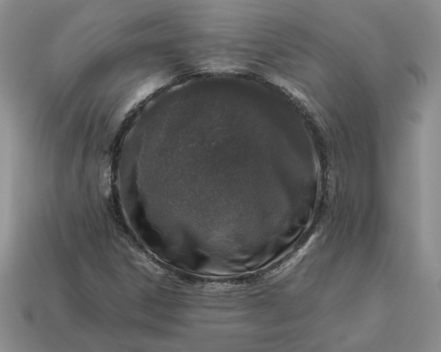 X0000113371306200909291042