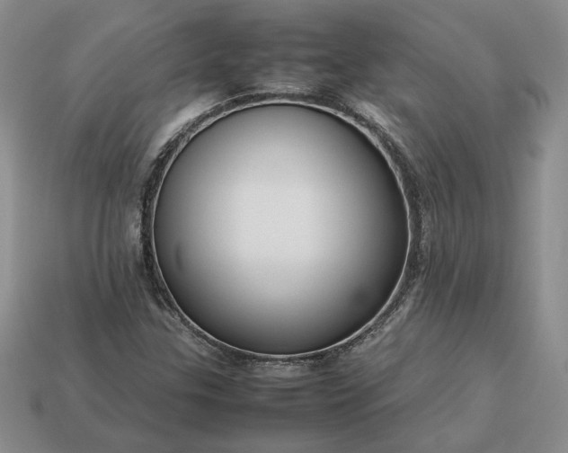 X0000113371307200909291042