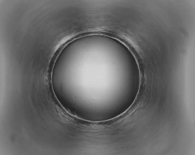 X0000113371308200909291042