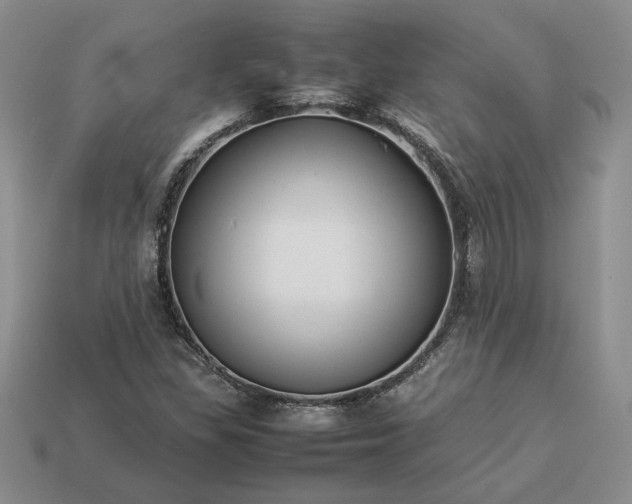 X0000113371309200909291042