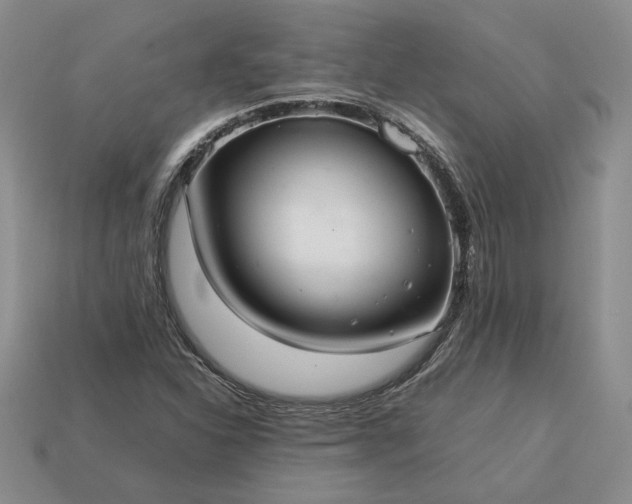 X0000113371310200909291042