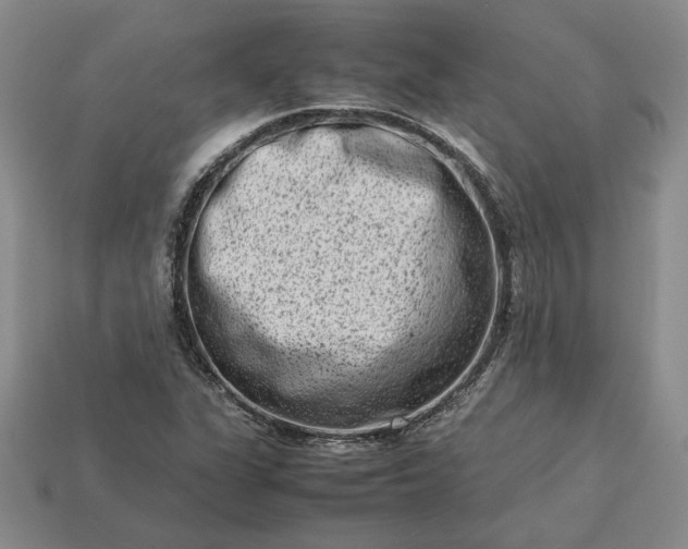 X0000113371311200909291042