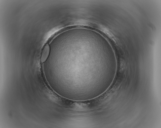 X0000113371312200909291042