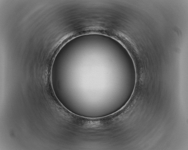 X0000113371313200909291042