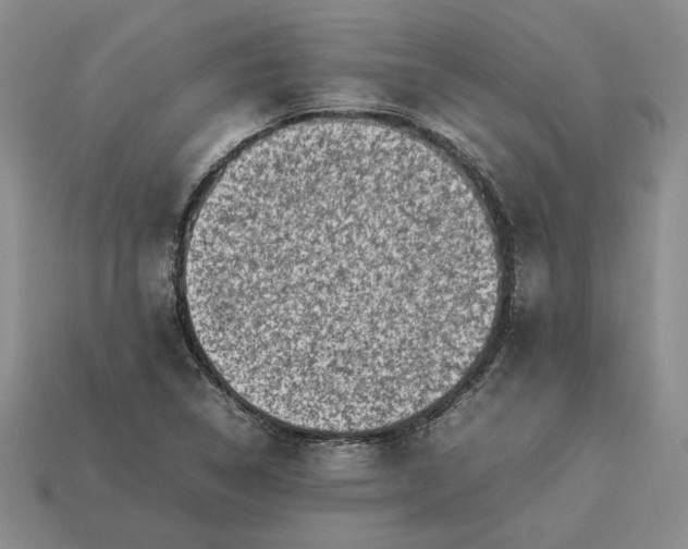 X0000113371314200909291043