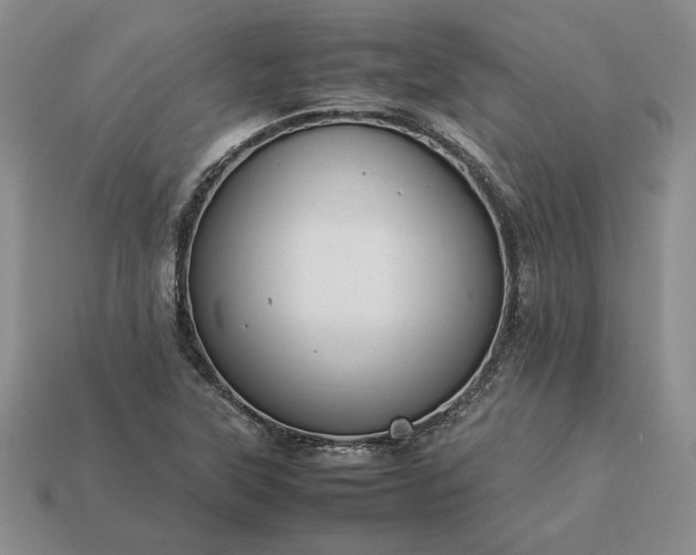 X0000113371315200909291043