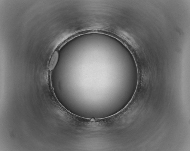 X0000113371316200909291043