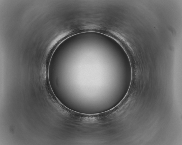 X0000113371317200909291043