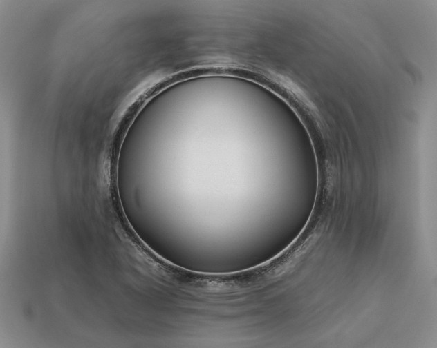 X0000113371318200909291043