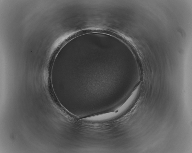 X0000113371319200909291043