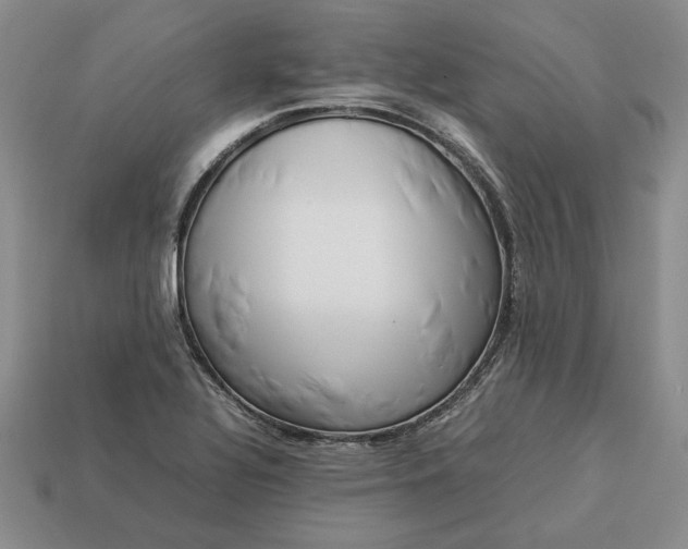 X0000113371320200909291043