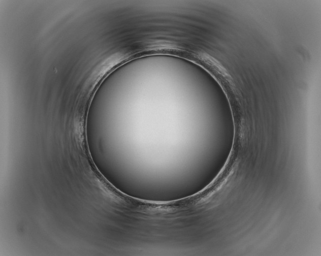 X0000113371321200909291043