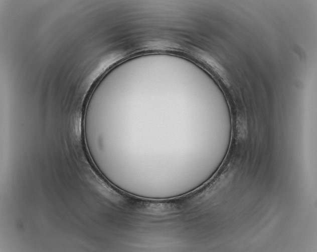 X0000113371322200909291043