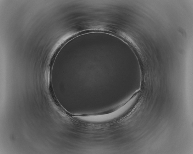 X0000113371323200909291043