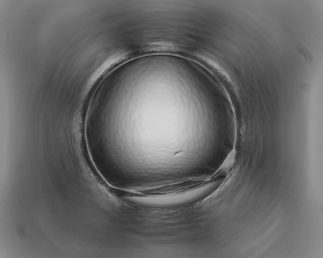 X0000113371325200909291043