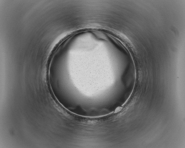 X0000113371326200909291043