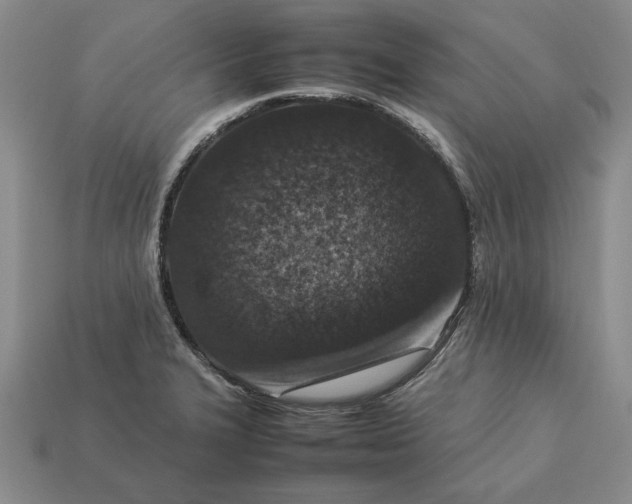 X0000113371327200909291043