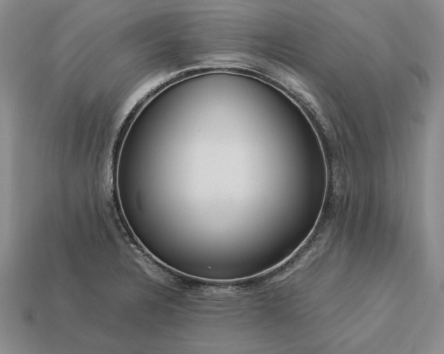 X0000113371328200909291043