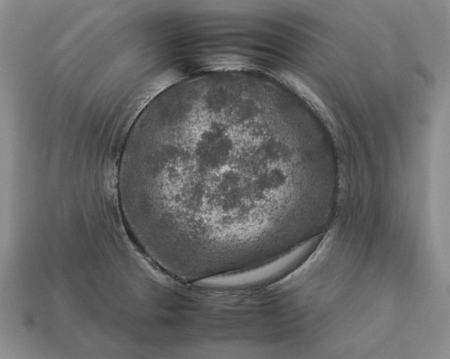 X0000113371329200909291043