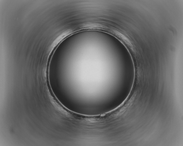 X0000113371330200909291043