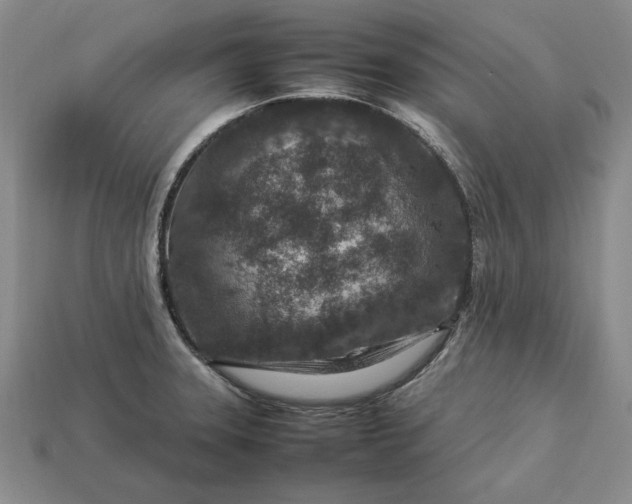 X0000113371331200909291043