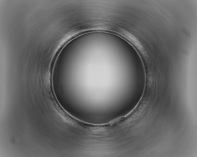 X0000113371332200909291043