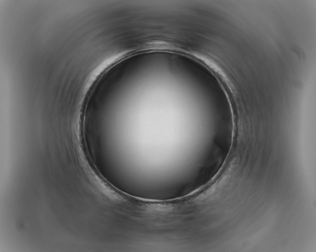 X0000113371333200909291043