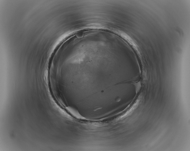 X0000113371334200909291043