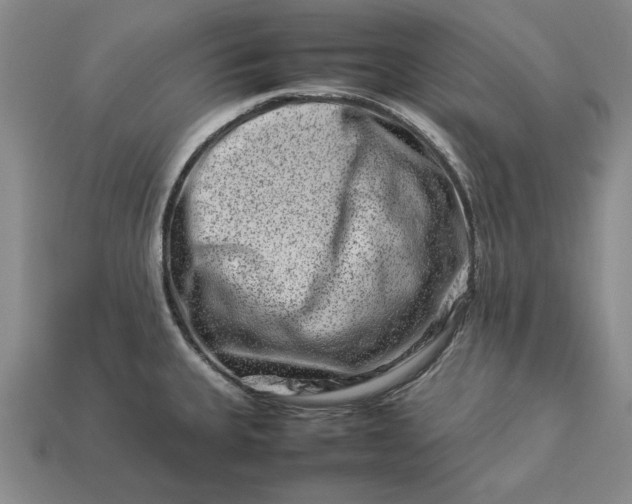 X0000113371335200909291043