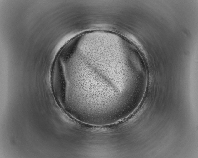 X0000113371336200909291043