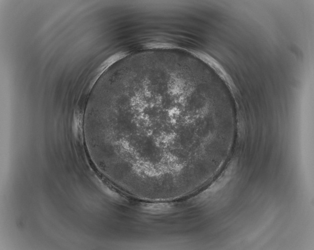 X0000113371337200909291043