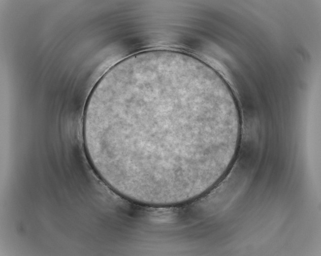 X0000113371338200909291043