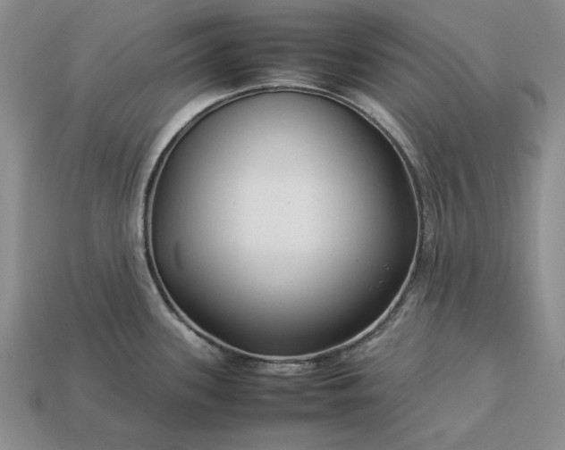 X0000113371339200909291043