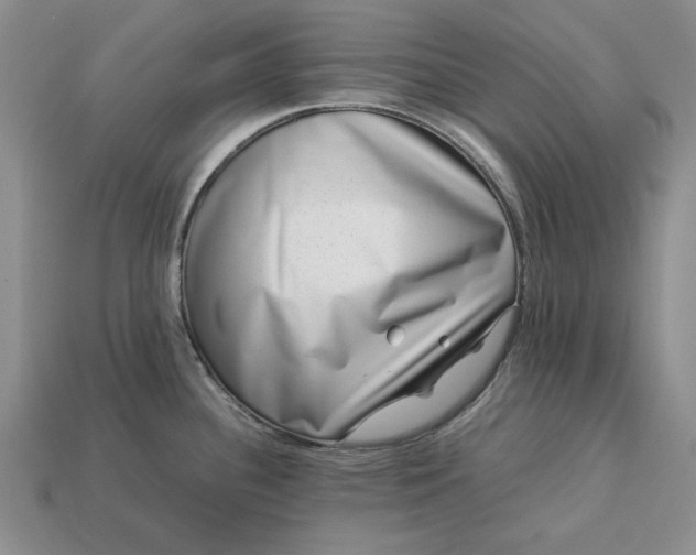 X0000113371340200909291043