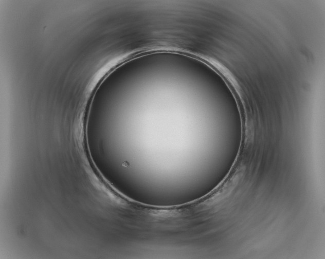 X0000113371341200909291043