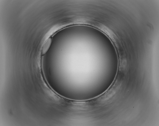 X0000113371342200909291043