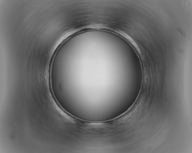 X0000113371343200909291043