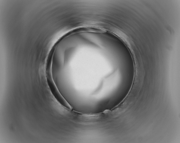 X0000113371344200909291043