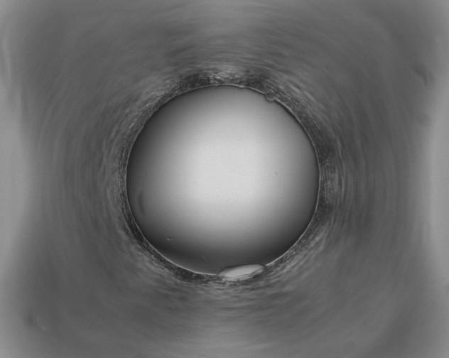 X0000113371345200909291042