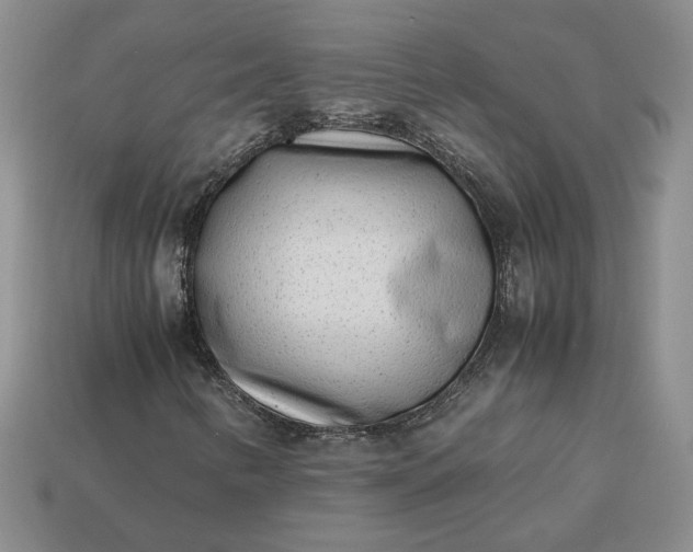 X0000113371346200909291042