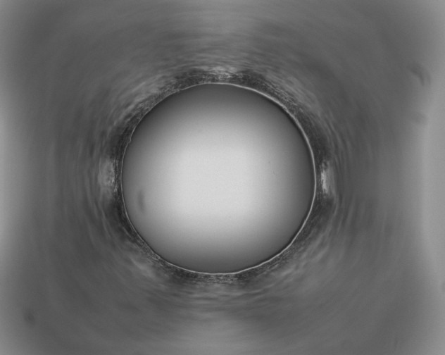 X0000113371347200909291042