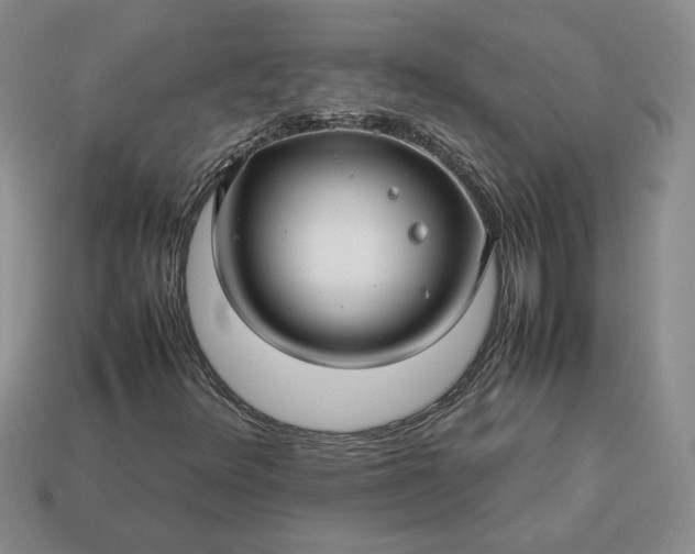 X0000113371348200909291042