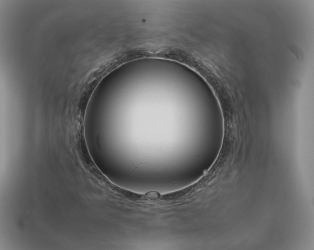 X0000113371349200909291042