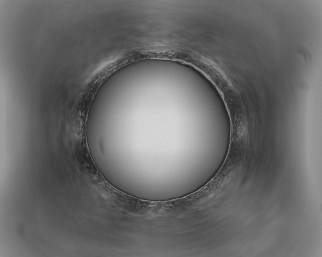 X0000113371350200909291042