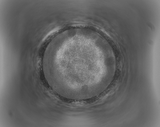 X0000113371351200909291042