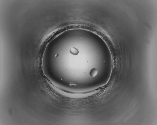 X0000113371352200909291042