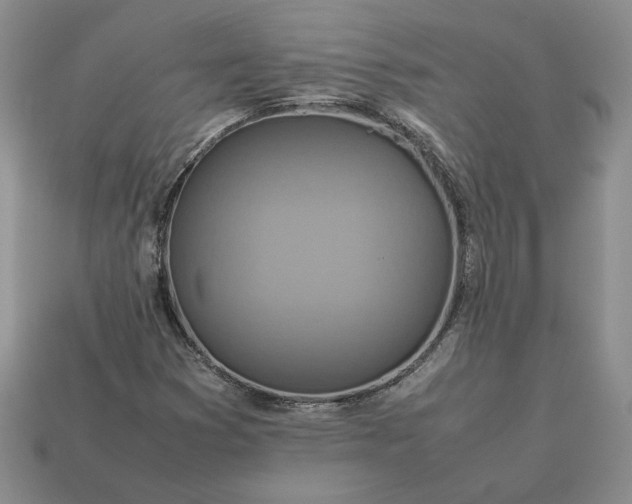 X0000113371353200909291042