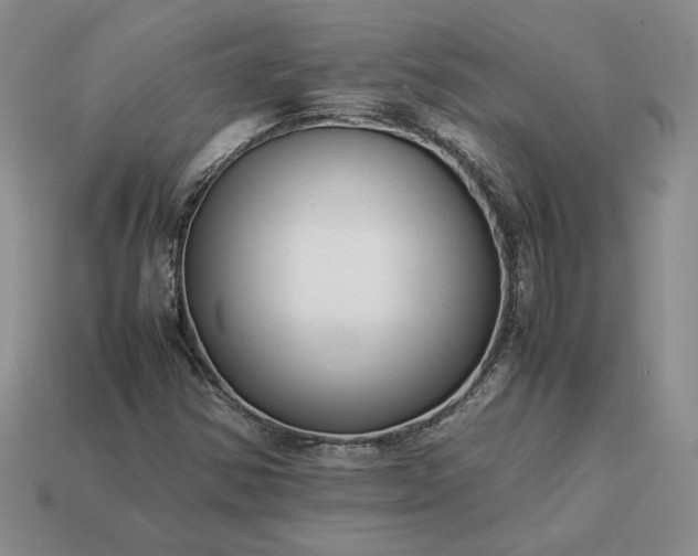 X0000113371354200909291042